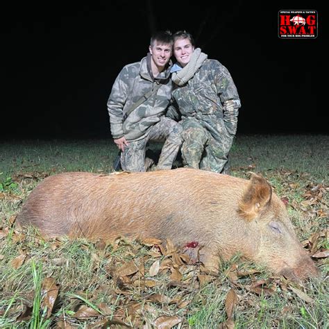cheap hog hunts in georgia